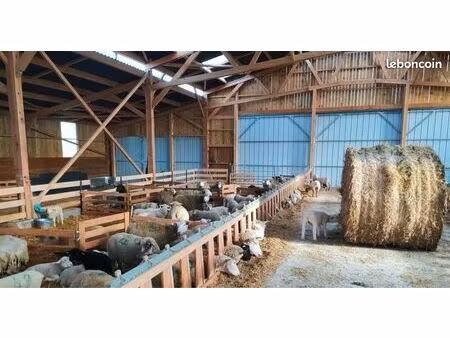 recherche bâtiment agricole