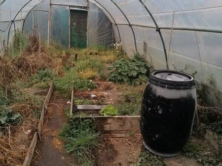 grande serre à louer