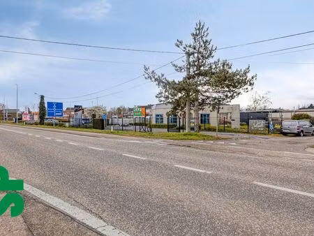 bien professionnel à vendre à tessenderlo € 799.000 (ln5hc) - kantoor geel | zimmo