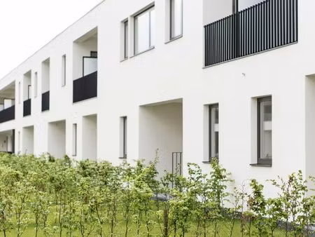appartement à louer à antwerpen € 925 (ln5i5) - walls vastgoedmakelaars - antwerpen | zimm