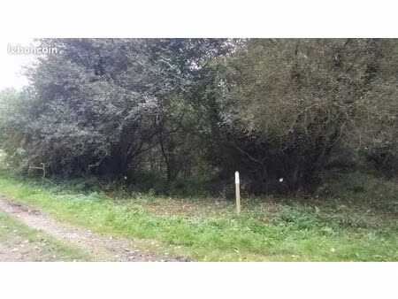 terrain loisir plédran