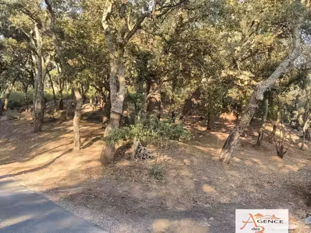 terrain 29 285 m² collobrieres