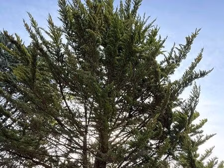 terrain à bâtir 1er rang viabilisé