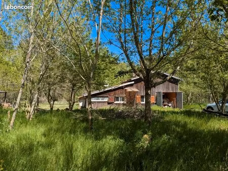 maison à fort potentiel avec 2800 m² terrain - havre de paix au cœur des landes