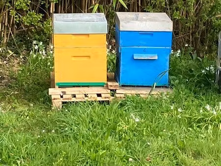 recherche petit bout de terrain en location