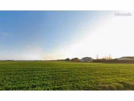 terrain 400 m² lamasquere