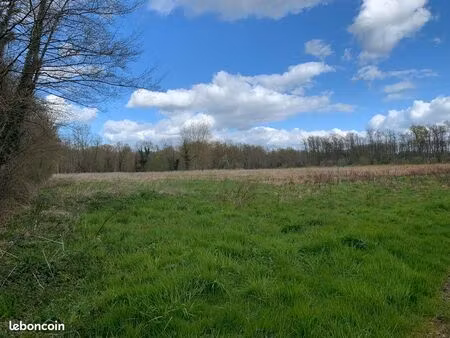 terrain pour chevaux à louer