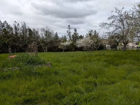 rare très grand terrain en plein centre de la lande de fronsac