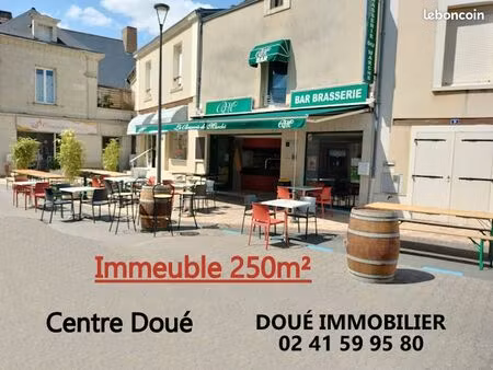 immeuble 8 pièces 250 m²