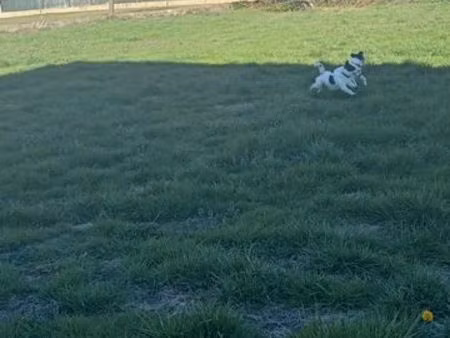 terrain constructible 729m2 à orleix