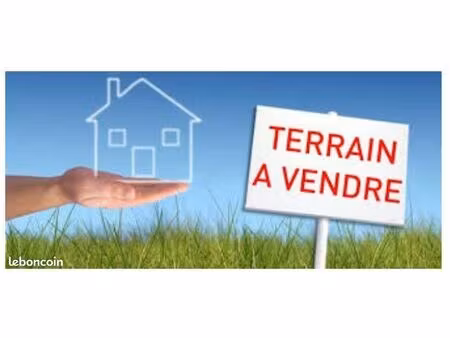 terrain constructible
