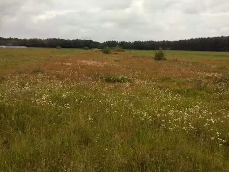 loue terrain 200 m2 maslives 41250: 45 e/semaine