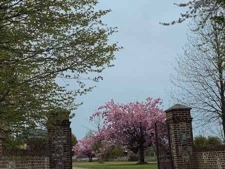 urgent recherche maison a louer