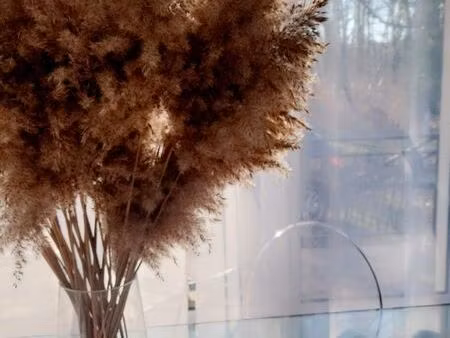 maison meublée 6 pièces – 3 chambres – cheminée – 90 m² – terrain 2800 m² – saint-savin