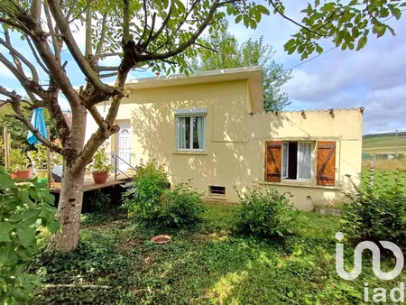 maison à villeneuve-sur-yonne (89500)