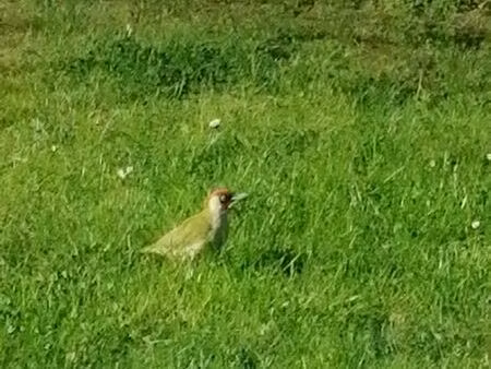 partage jardin potager