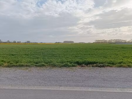 terrain a batir guarbecque