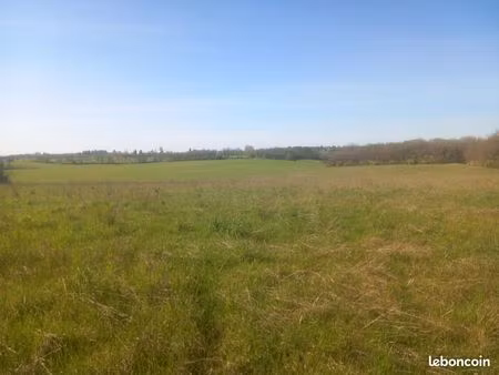 terrain 45000 m² mauroux
