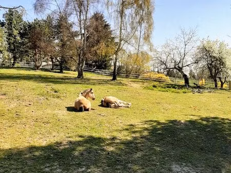 terrain constructible a paslières