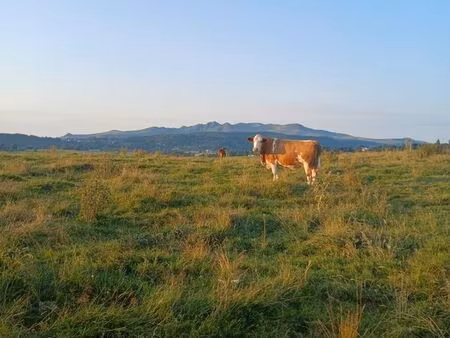 recherche terrain zone aop ■ ou■terrain en vente d'herbe ou en moitié foin pour campagne 2