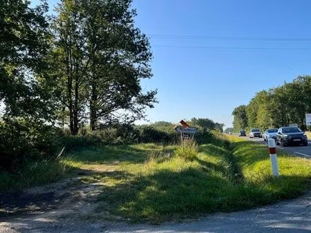 superbe parcelle zn cissac medoc 65000m2