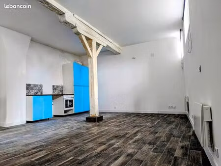 loft 1 pièce 43 m²