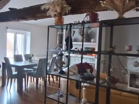 immeuble centre ville - commerces + habitations