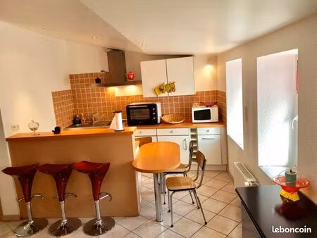 loue studio meublé 50 m2 centre-ville d'issoire 2 pièces