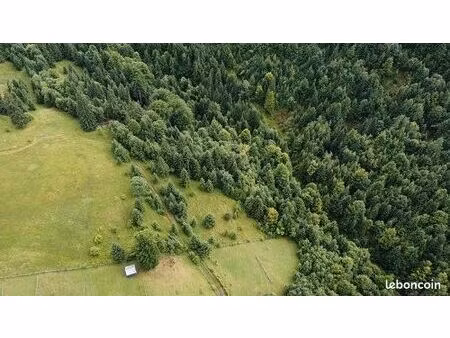 cherche terrain de loisirs/herbage/pâturages/bois/forêt/taillis