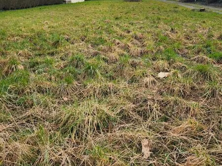 terrain constructible 583m2