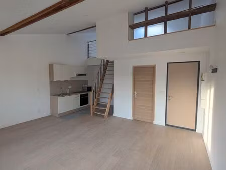 magnifique appartement rénové à neuf  style loft avec mezzanine