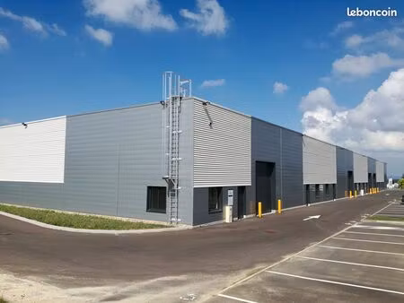 local d'activite 816 m² flevy