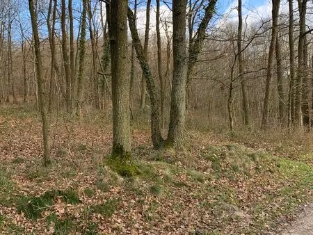 lot de 6 parcelles boisées (yvelines 78)
