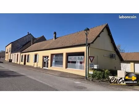 immeuble 592 m² pierre-de-bresse