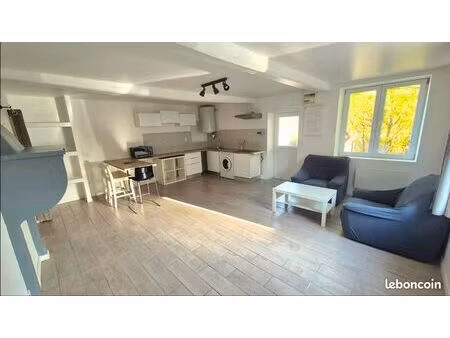 appartement t2 meublé 52m2 et jardin - mably