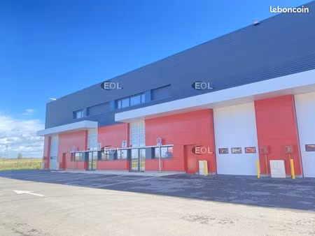 local d'activité 563 m²