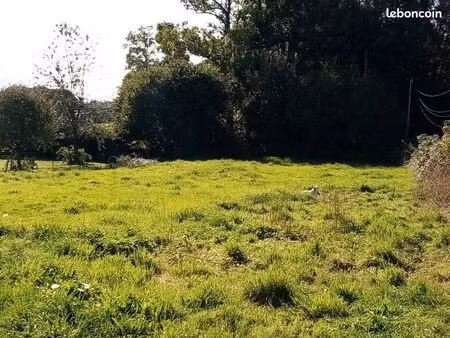 terrain 1 334 m² cany barville