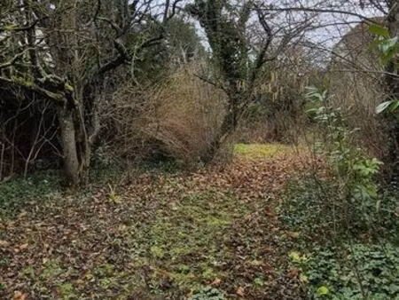 terrain 387 m² saint-fargeau-ponthierry