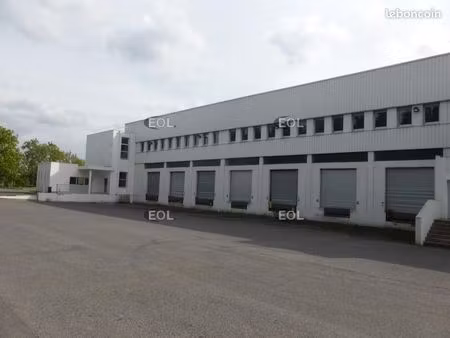 local logistique 5 378 m²