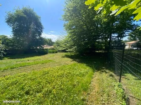 terrain constructible arboré