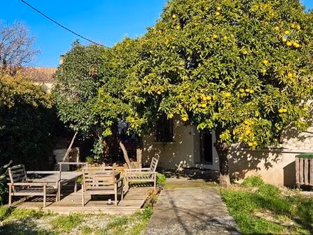 charmante maison rénovée avec jardin arboré au cœur du centre-ville