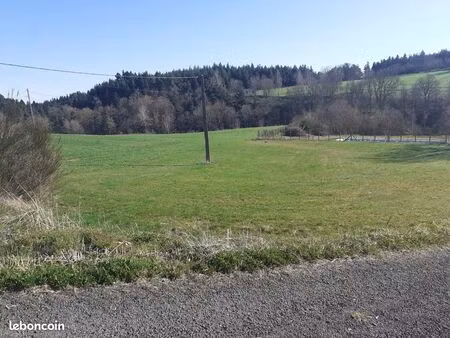 terrain constructible