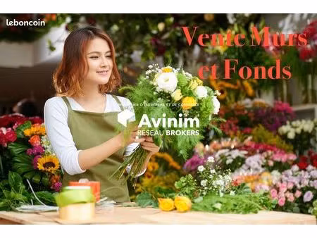 fleuriste 73 m² avignon