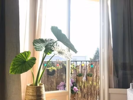 charmant appartement meublé