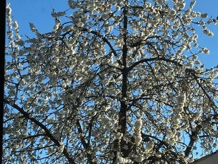 recherche  maison de plain-pied