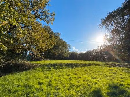 vente terrain à bâtir (82160)