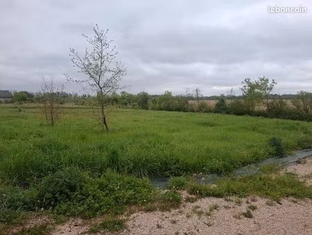 terrain nature 4000 m² – calme – accès voiture – point d’eau – idéal loisir