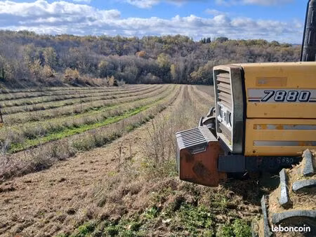 terrain plantation paulownia 22ha