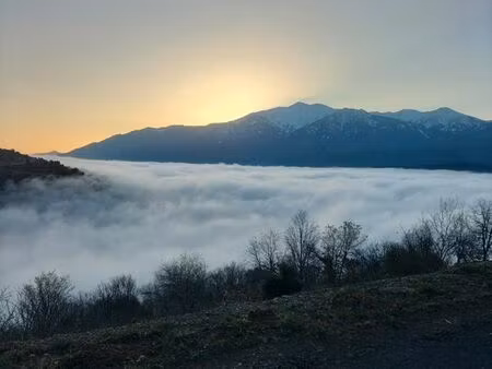 recherche terrain à louer
