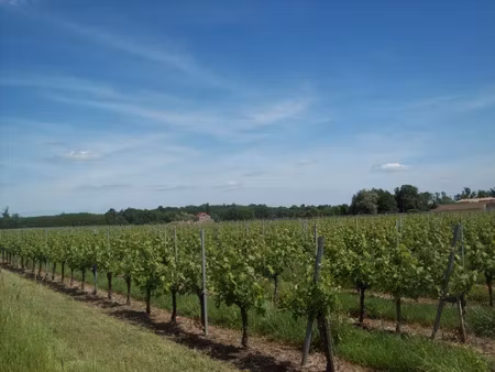 vente terrain 500 m² à saint-savin (33920)  49 000 €